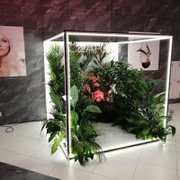 Фотозона Световой куб