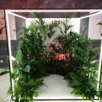 Фотозона Световой куб