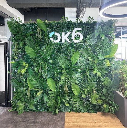 Фотозона из зелени Оазис