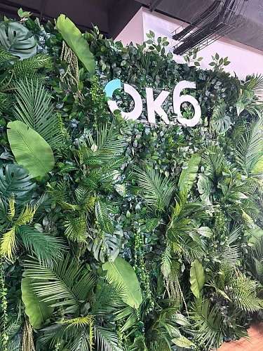 Фотозона из зелени Оазис